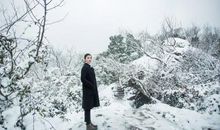 雪景的古诗