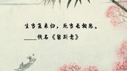 古代诗歌表达了爱的句子