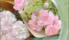 qq空间文艺说说大全