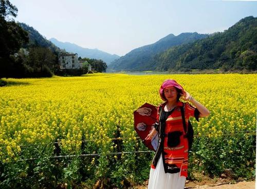 描述油菜籽的经文是什么？