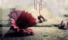 周末发表朋友圈的经典句子