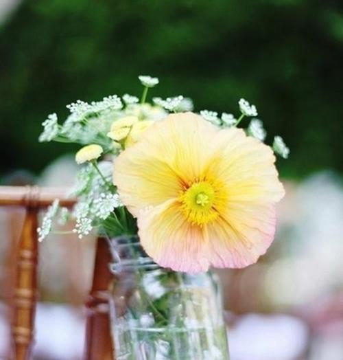 2020朋友圈圈经典谈论简短的内涵