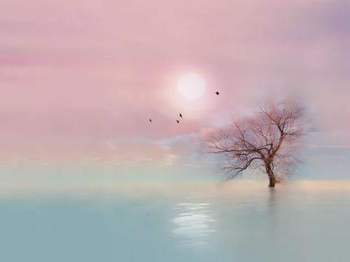 说说里伤感的句子爱情句子