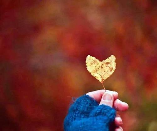 朋友圈英语心情不是好句子大全