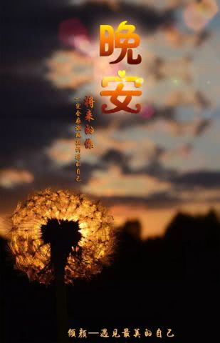 晚安给一个朋友圈