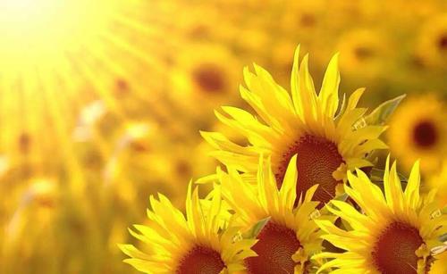 美好的一天从周一开始说说