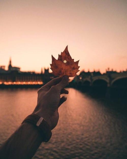 令人失望的妇女