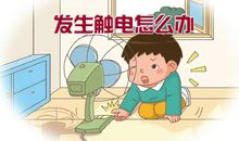 生态安全内容大全