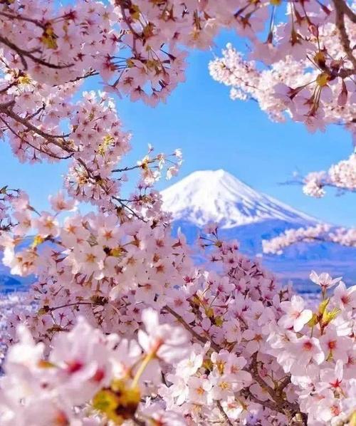 春天的朋友圈说