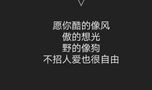 野性霸气的朋友圈句子