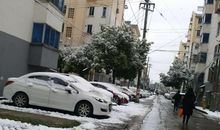 新年第一场雪的祝福