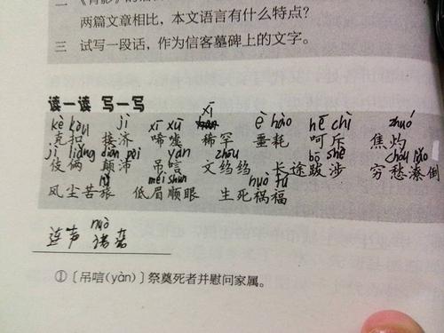 50个字的句子