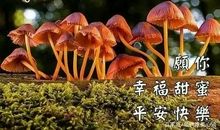 2020年太难的句子