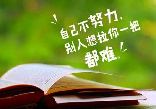 早上起床,朋友圈