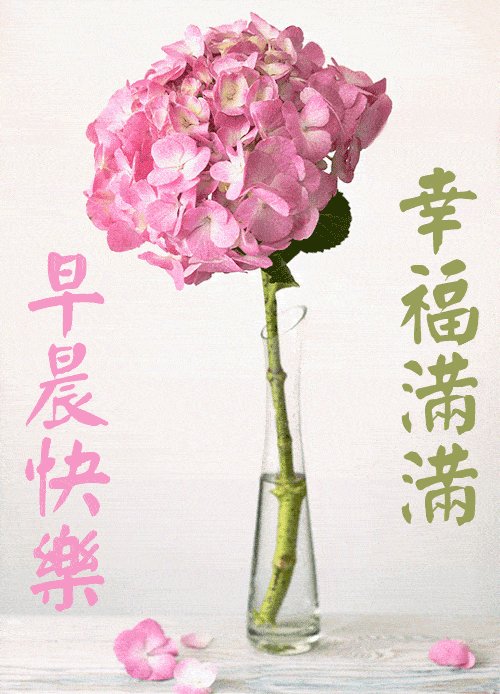 四月短暂的问候