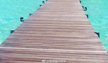 努力的句子正能量短句