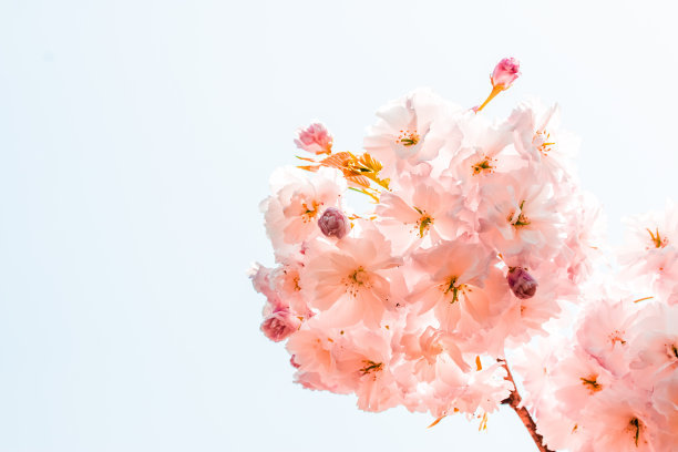 有一天，积极的能量，早上好句子2