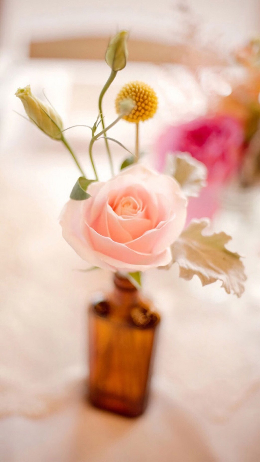 有一天，积极的能量，早上好句子1