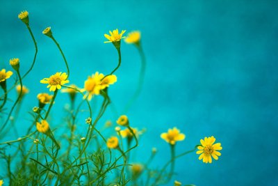 我鼓励一个句子2