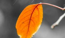 2021年一句话的正能量