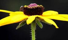 2021年正能量阳光的句子