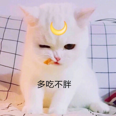 不快乐和讨厌的句子朋友圈