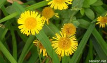 形容享受人生的句子