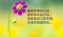 千古名句励志霸气