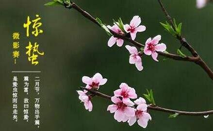 诗歌大约8个恐怖节气门