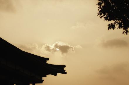 谢谢友谊撒上人类句子2