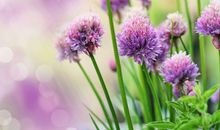 时间过得很快的优美句子 一句话形容时间过得快