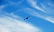 适合发朋友圈的唯美句子