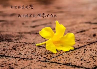 不开心朋友圈发什么说说