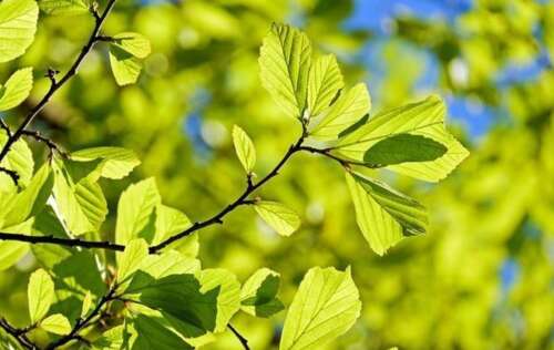 用春天描述春句,美丽的句子2