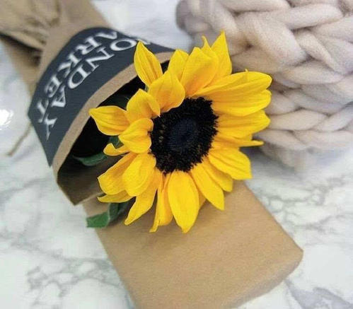 2021抖音孤单的句子