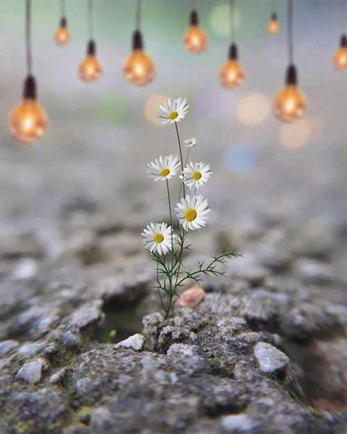 约会,着名的谚语