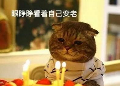 生日遇到了新的一年