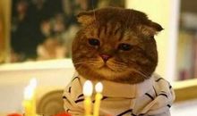 生日遇到元旦节的说说