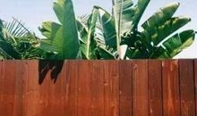 人生美好的经典语句