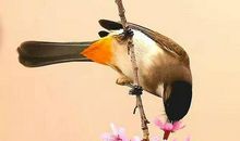 有关于友情的词语和句子大全