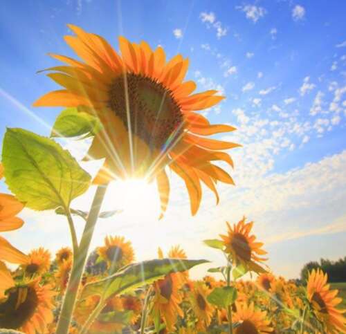 描述更幽默的幽默句子，更美丽的句子2