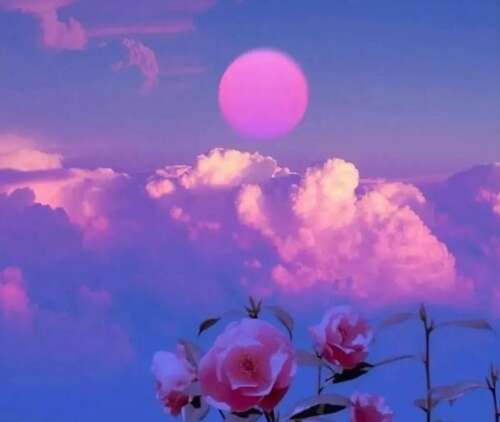 描述更幽默的句子来吐泥牌更美丽的句子1