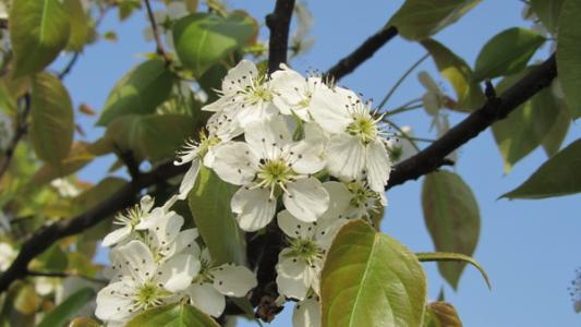 3月份你好，灵感句子有多好