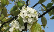 三月你好的励志句子