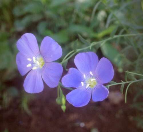 描述呕吐美学句子更幽默的句子