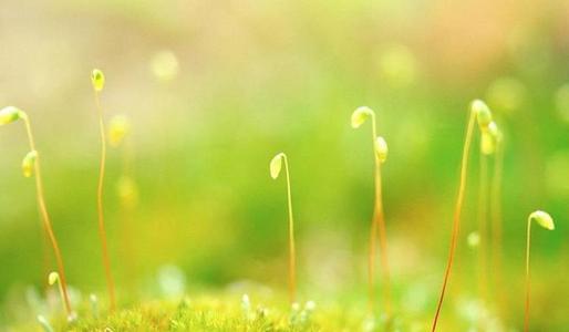 在冬天之后，它是春天的鼓舞人心的句子。