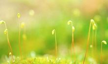 寒冬过后是春天的励志句子