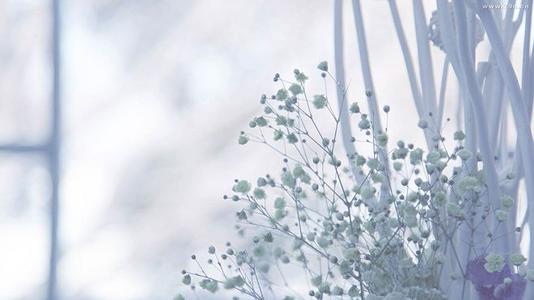 友谊将会死，句子1