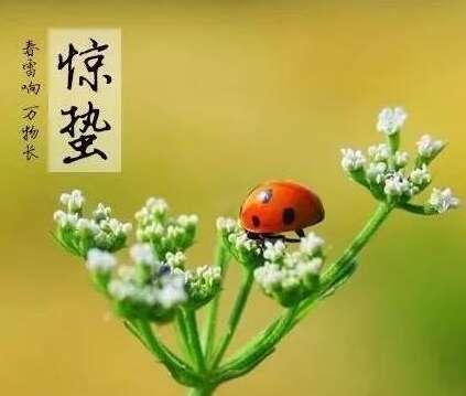 描述恐怖的美丽句子