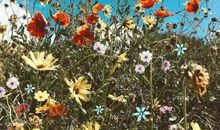 初中生运动会班级口号